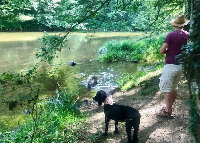 Beautifully Restored *