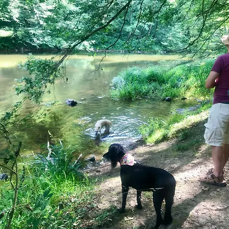 Beautifully Restored *